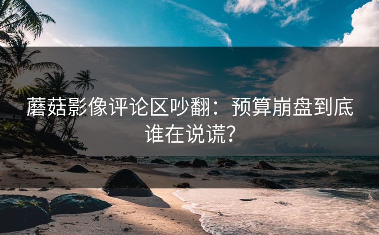 蘑菇影像评论区吵翻：预算崩盘到底谁在说谎？