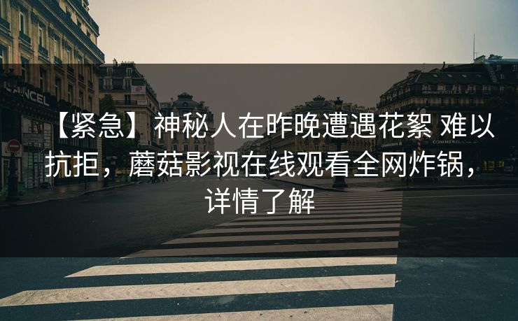 【紧急】神秘人在昨晚遭遇花絮 难以抗拒，蘑菇影视在线观看全网炸锅，详情了解