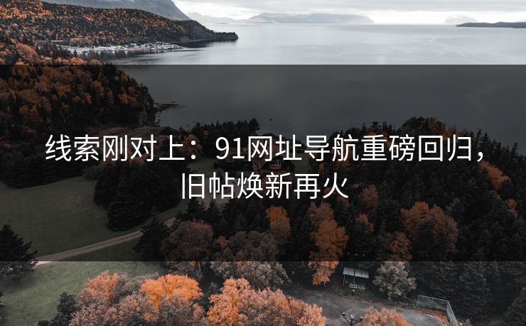 线索刚对上:91网址导航重磅回归,旧帖焕新再火 线索刚对上:91网址导航重磅回归,旧帖焕新再火